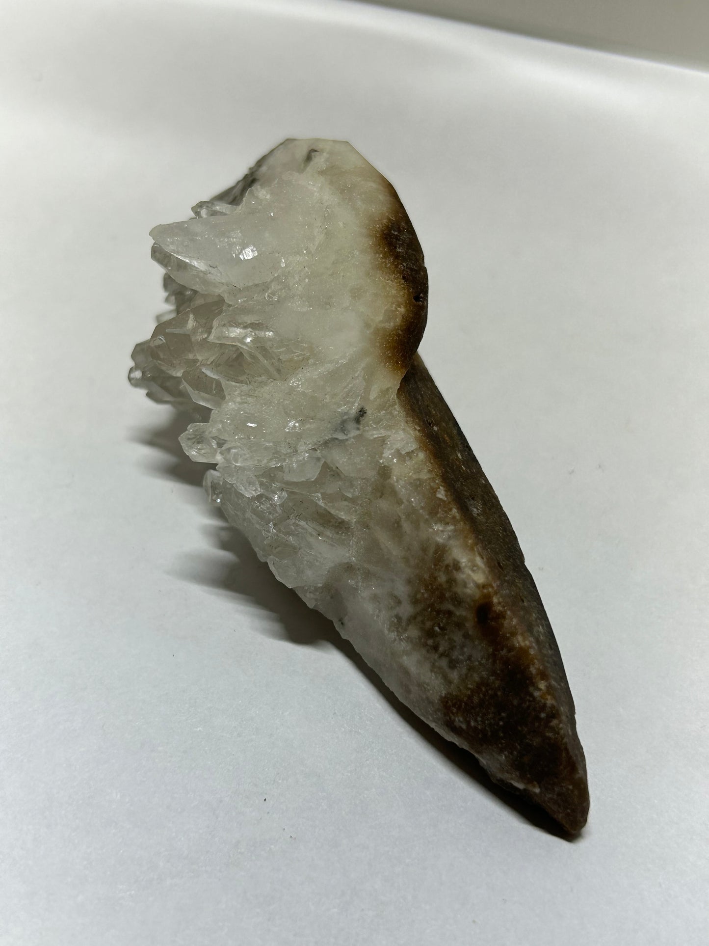 Raven Skull Carved w/ Raw Quartz Cluster Specimen