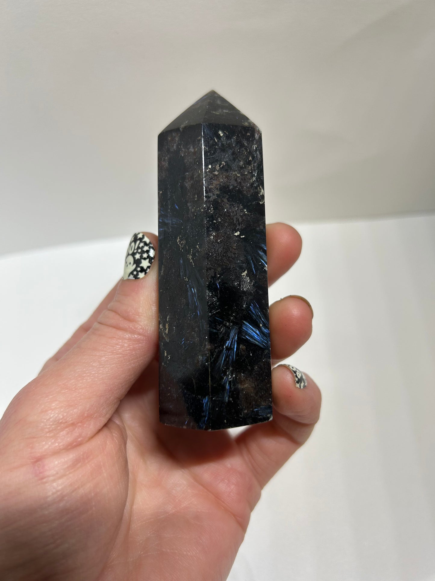 Arfvedsonite Garnet Tower Crystal  Point Carved Polished (C)