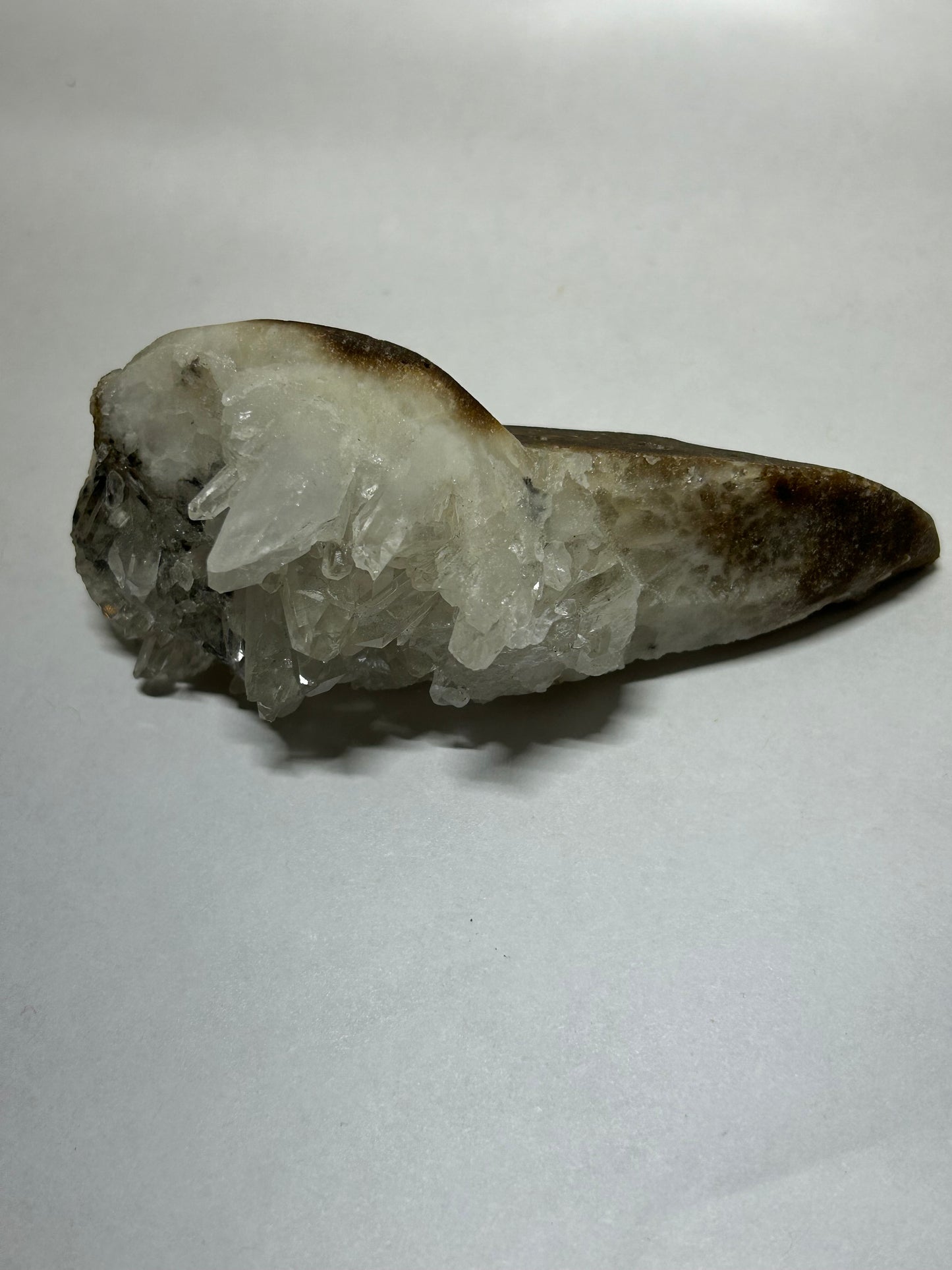 Raven Skull Carved w/ Raw Quartz Cluster Specimen