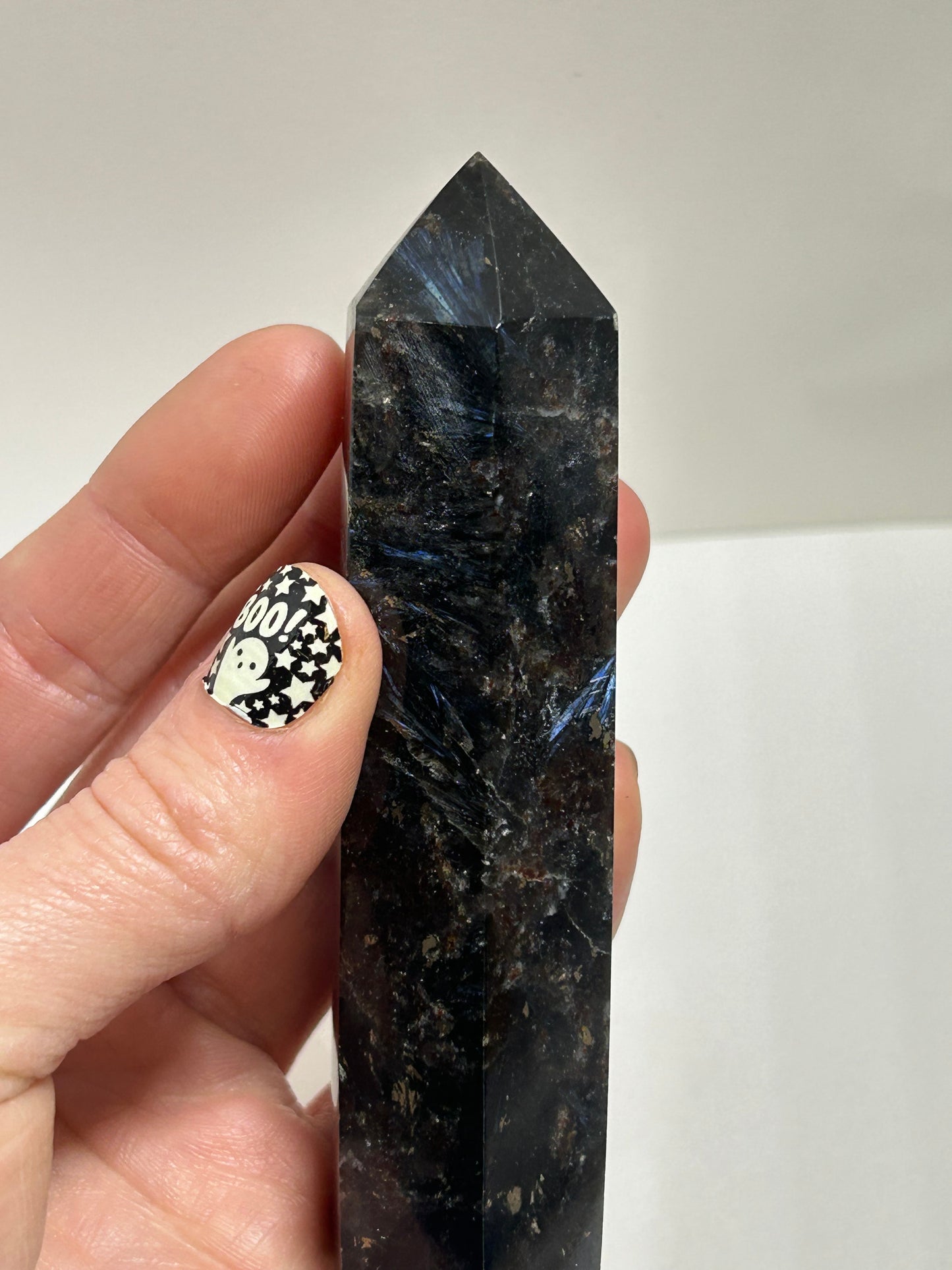 Arfvedsonite Garnet Tower Crystal  Point Carved Polished (E)