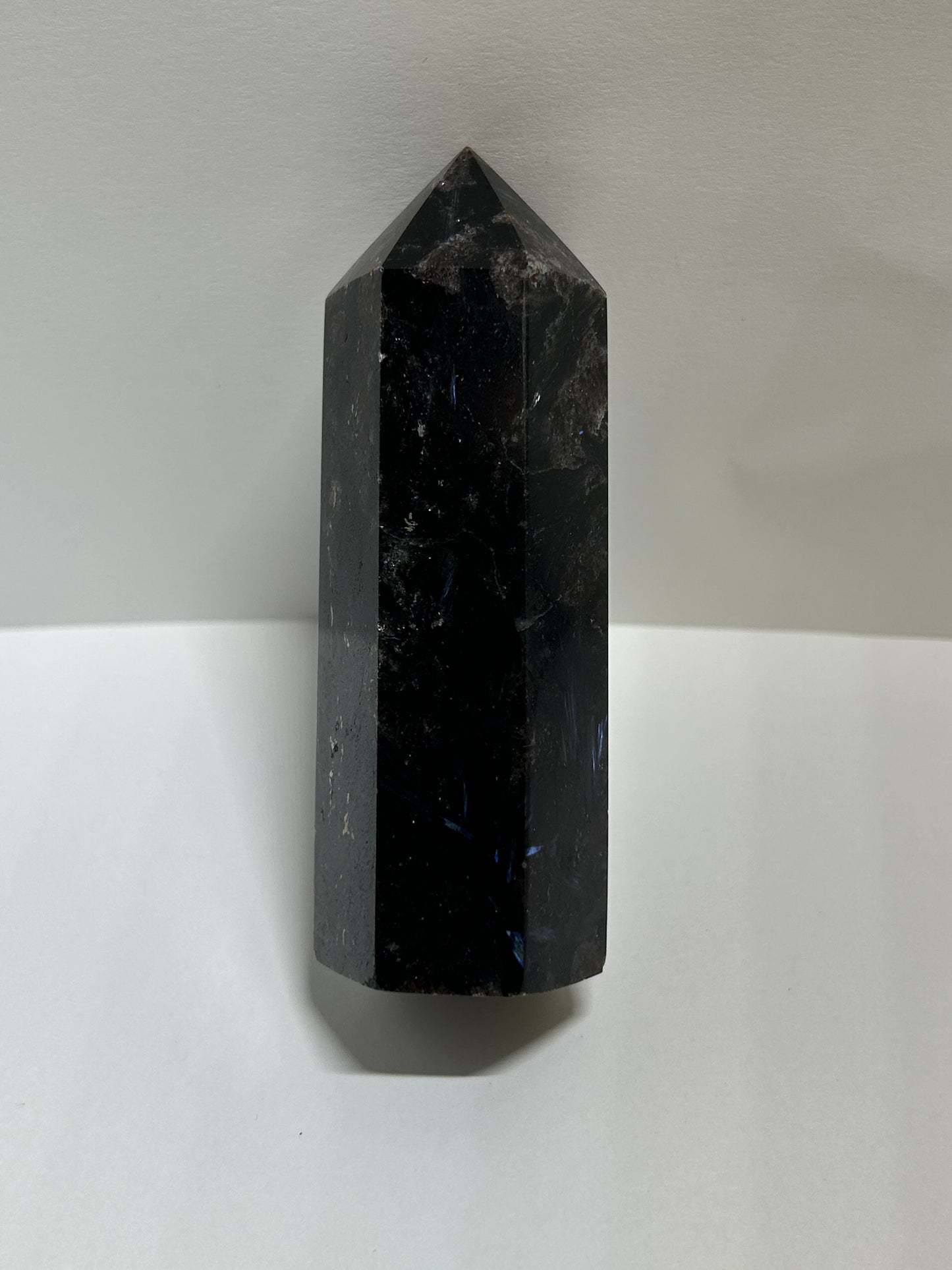 Arfvedsonite Garnet Tower Crystal  Point Carved Polished (C)