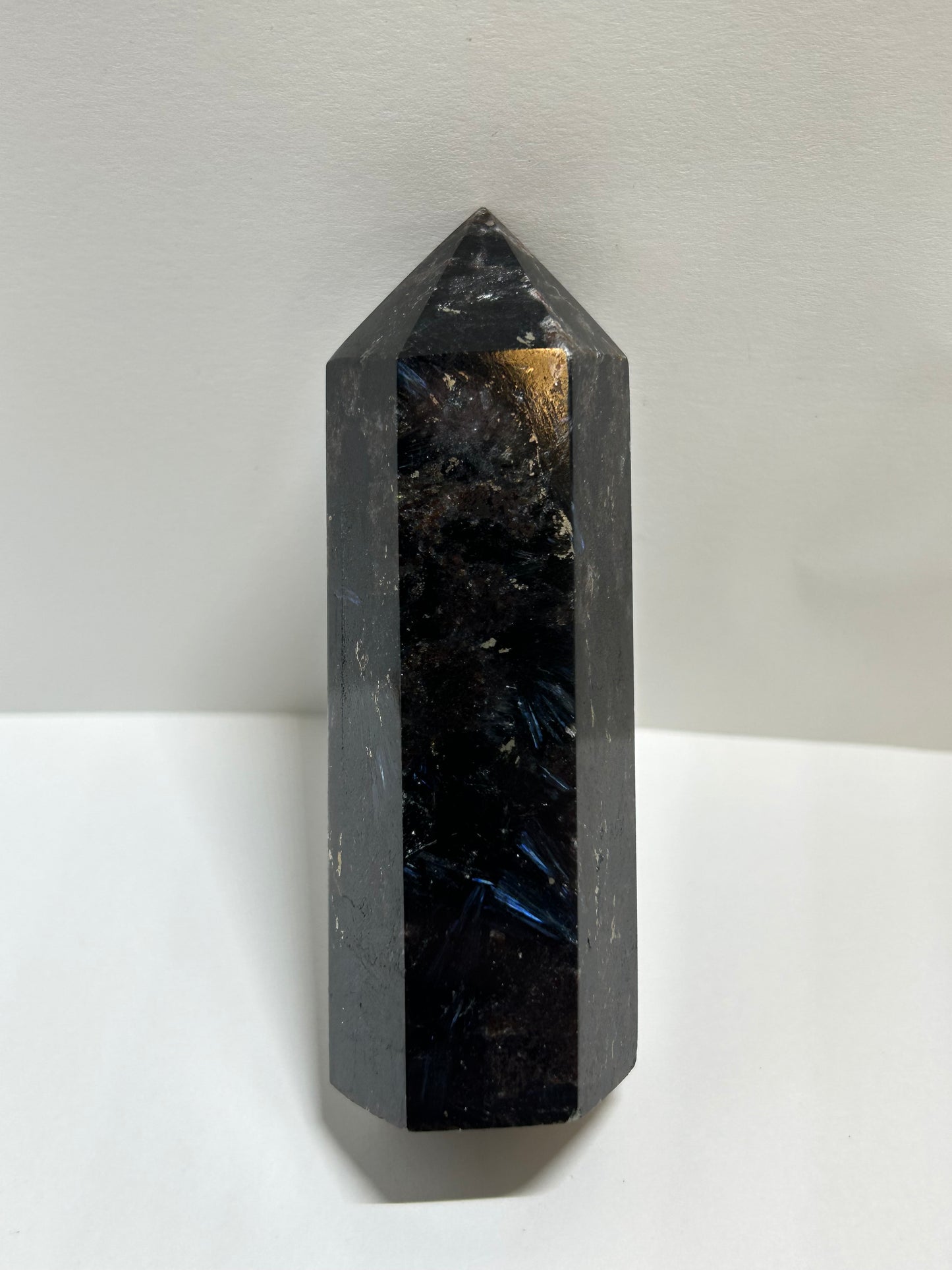 Arfvedsonite Garnet Tower Crystal  Point Carved Polished (C)