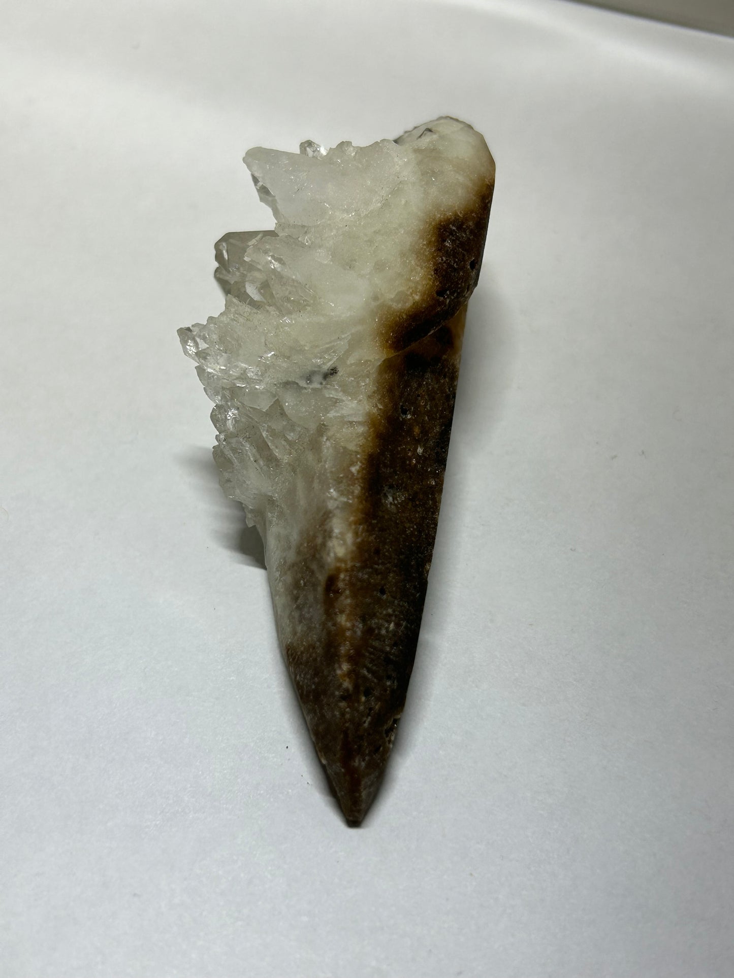 Raven Skull Carved w/ Raw Quartz Cluster Specimen