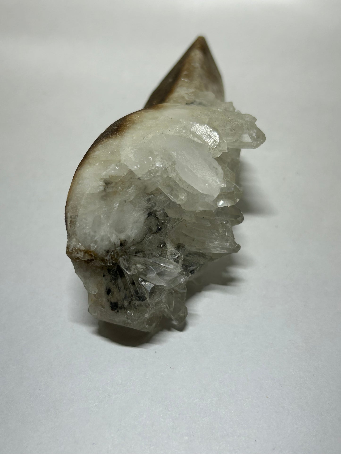 Raven Skull Carved w/ Raw Quartz Cluster Specimen