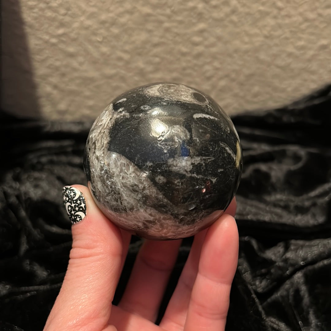 Orthoceras Fossil Crystal Sphere