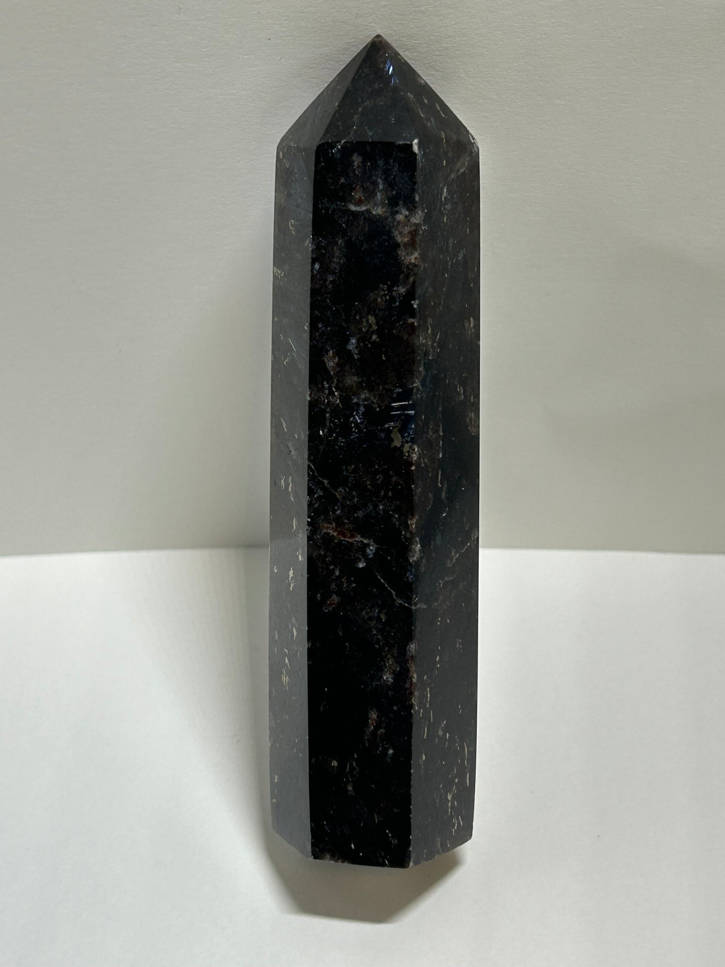 Arfvedsonite Garnet Tower Crystal  Point Carved Polished (E)