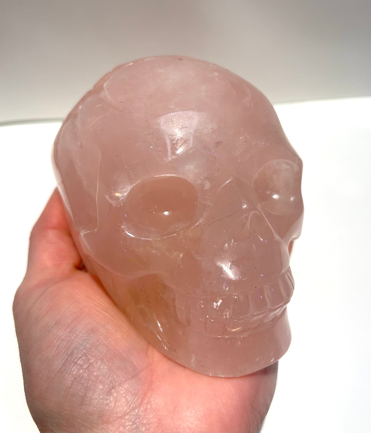 Large Rose Quartz Skull Carving Crystal Statement Piece Golden Healer