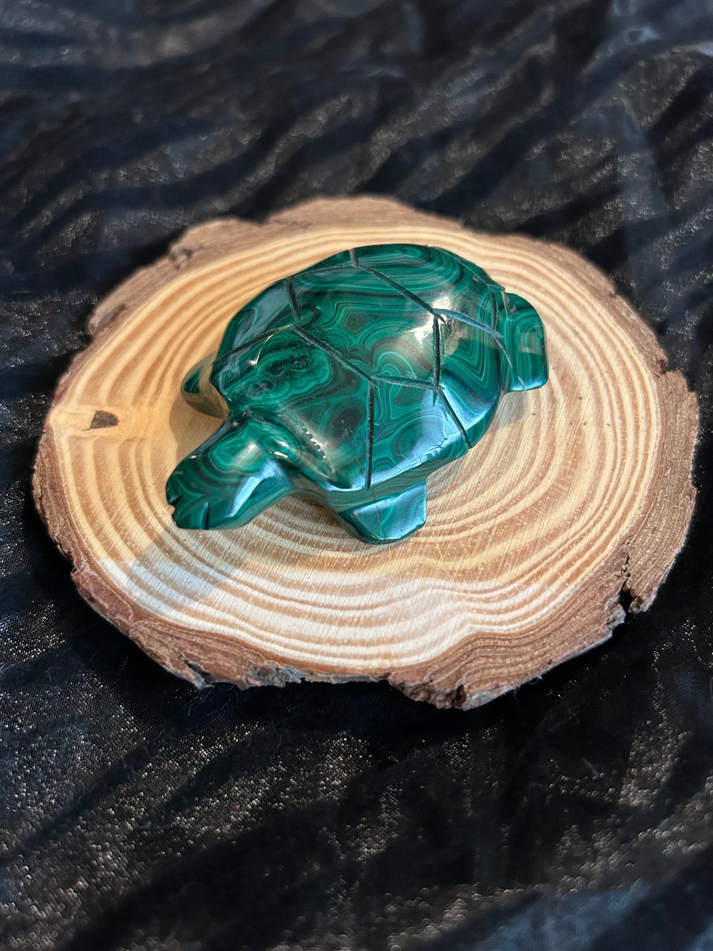 Polished Orbicular Malachite Carved Turtle Carving