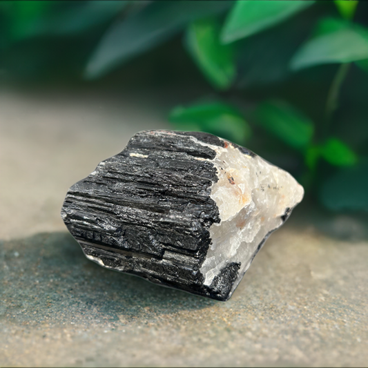 Black Tourmaline and Quartz Raw Specimen