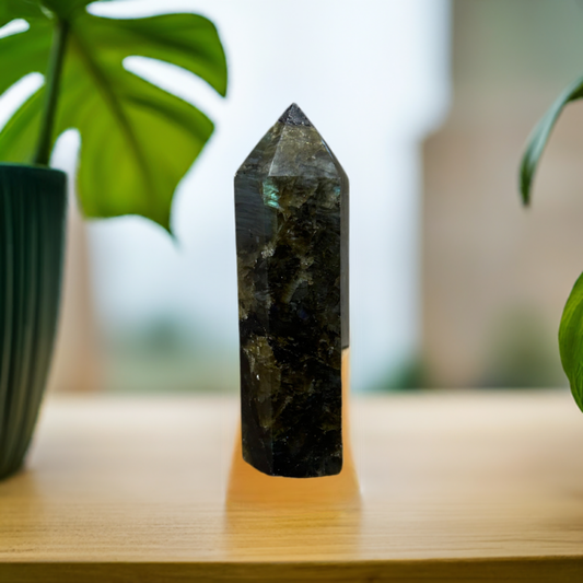 Labradorite Tower Crystal Obelisk Transformation Carved (A)