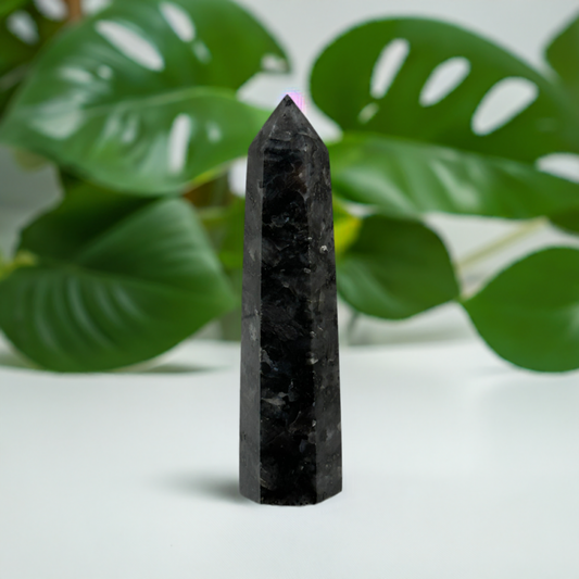 Larvikite Tower Crystal  Point Carved Polished Flash (D)