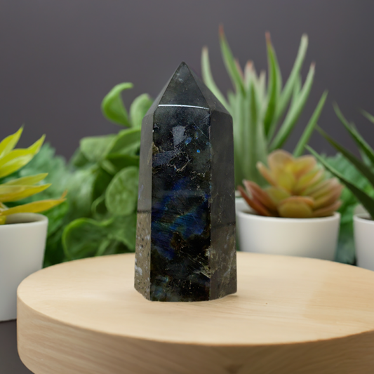 Labradorite Tower Crystal Obelisk Transformation Carved (C)