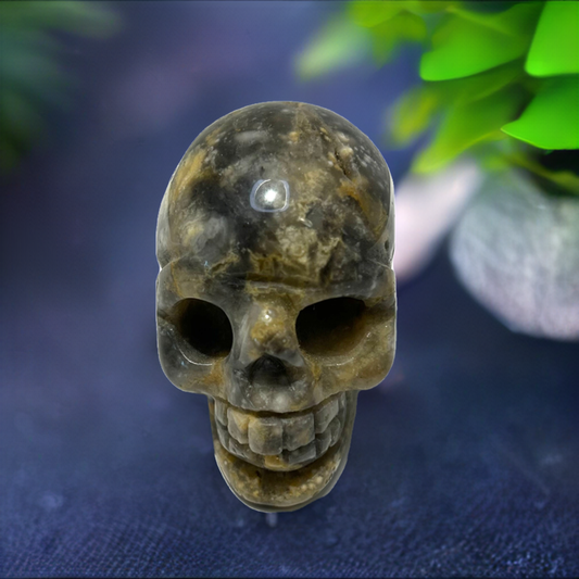 Mexican Crazy Lace Agate Crystal Skull Carving 2”