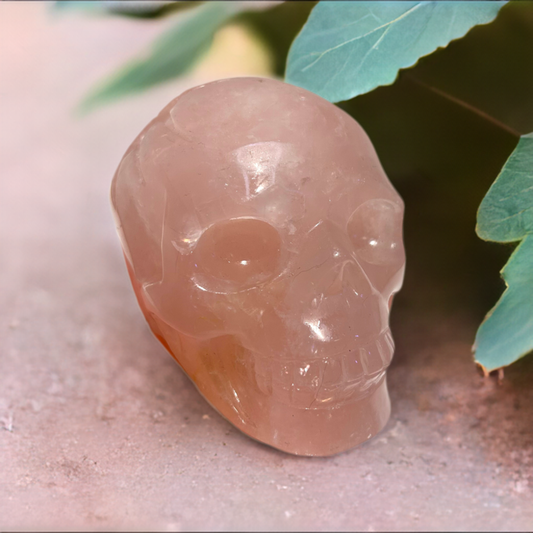 Large Rose Quartz Skull Carving Crystal Statement Piece Golden Healer